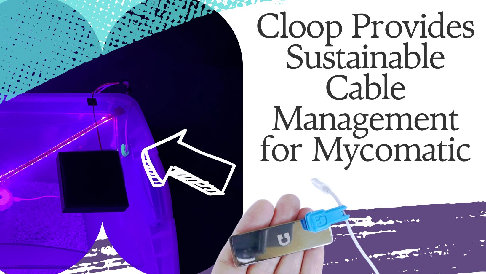 Mycomatic Uses Cloop Ties for Automated Grow System